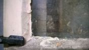 WP_20140211_005.jpg