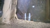 WP_20140211_004.jpg
